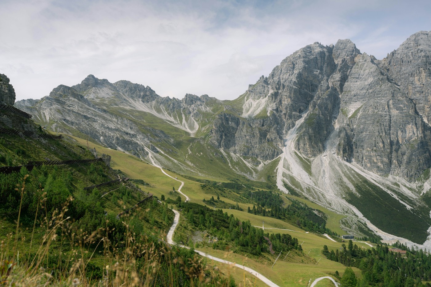 A winding trail leading through a green Alpine valley toward mountain peaks